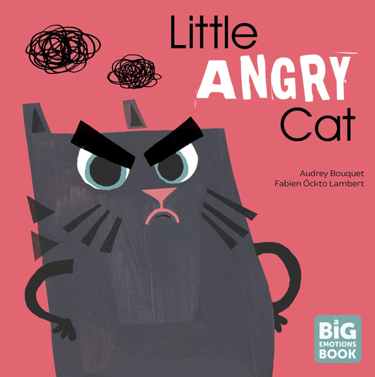 little angry cat